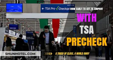TSA PreCheck: Optimal Airport Arrival Times for Stress-Free Travel