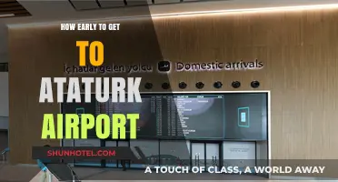 Arriving at Ataturk Airport: Timing Tips for Stress-Free Travel