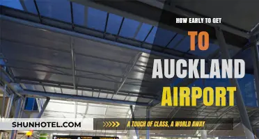 Auckland Airport Arrival Guide: Timing Your Journey for Stress-Free Travel