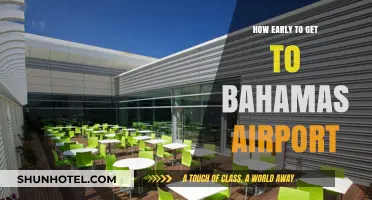 Bahamas Airport Arrival Guide: Timing Your Travel for Stress-Free Flights