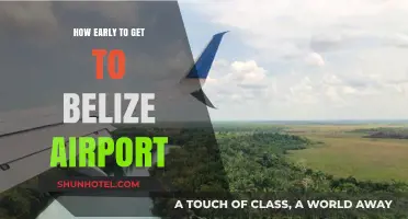 Arriving Stress-Free: Optimal Timing for Belize Airport Check-In