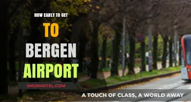 Timing Your Arrival: Optimal Early Check-In for Bergen Airport