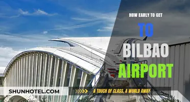 Arriving Stress-Free: Optimal Timing for Bilbao Airport Departure