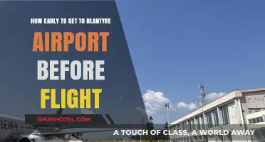 Timing Your Arrival: Optimal Pre-Flight Schedule for Blantyre Airport