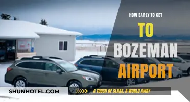 Arriving Stress-Free: Optimal Timing for Bozeman Airport Travel