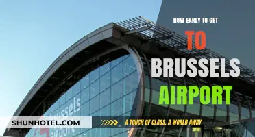Arriving Stress-Free: Optimal Timing for Brussels Airport Travel