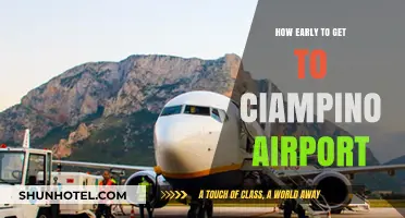 Timing Your Trip: Optimal Arrival Times for Ciampino Airport