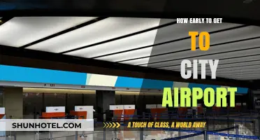 Arriving Stress-Free: Optimal Timing for City Airport Check-In
