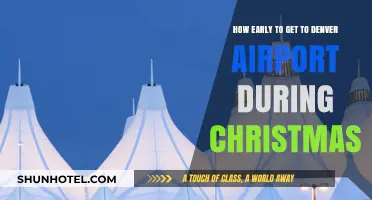 Christmas Travel Tips: Optimal Arrival Time for Denver Airport