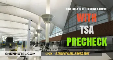 TSA PreCheck at Denver Airport: Optimal Arrival Time Tips