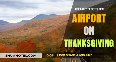 Thanksgiving Travel Tips: Optimal Arrival Time at DFW Airport