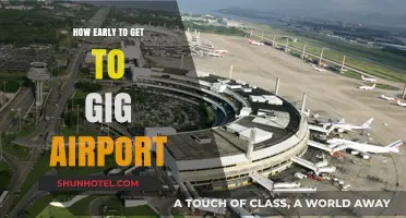 Arriving Early: The Ultimate Guide to Gig Airport Timings