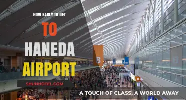 Arriving Stress-Free: Optimal Timing for Haneda Airport Travel