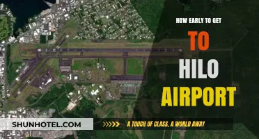Arriving Stress-Free: Optimal Timing for Hilo Airport Departures