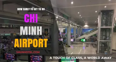 Arriving Stress-Free: Optimal Timing for Ho Chi Minh Airport