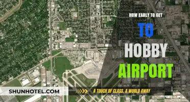 Arriving Stress-Free: Optimal Timing for Hobby Airport Travel
