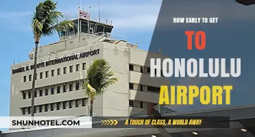 Arriving Stress-Free: Optimal Timing for Honolulu Airport Departures