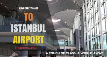 Arriving Stress-Free: Optimal Timing for Istanbul Airport Travel