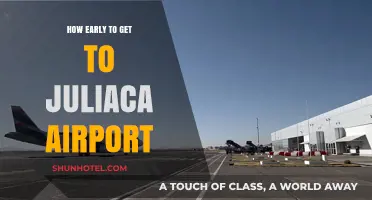 Arriving Stress-Free: Optimal Timing for Juliaca Airport Departures