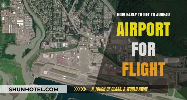 Juneau Airport Flight Prep: Optimal Arrival Time Tips for Travelers
