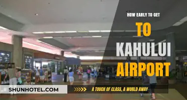 Arriving Stress-Free: Optimal Timing for Kahului Airport Travel