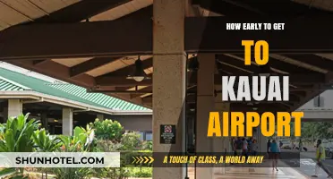 Kauai Airport Arrival Guide: Timing Your Trip for Stress-Free Travel