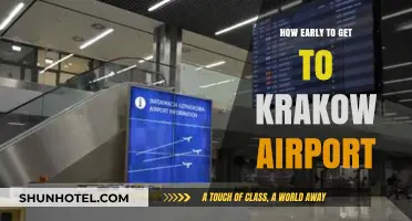 Arriving Stress-Free: Optimal Timing for Your Krakow Airport Departure