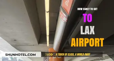 Navigating LAX: Optimal Arrival Times for Stress-Free Travel