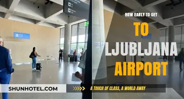Arriving Stress-Free: Optimal Timing for Ljubljana Airport Travel