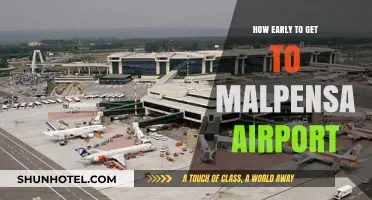 Navigating Malpensa Airport: Optimal Arrival Times for Stress-Free Travel
