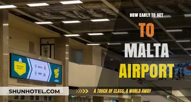 Arriving Stress-Free: Optimal Timing for Malta Airport Check-In