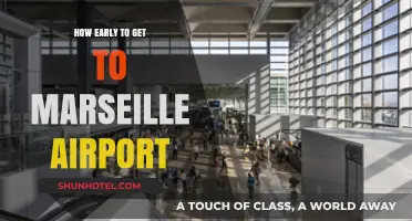 Timing Your Trip: Optimal Arrival Times for Marseille Airport