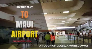 Maui Airport Arrival Guide: Timing Your Trip for Stress-Free Travel