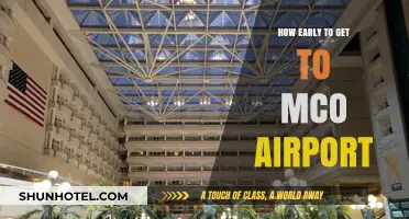 Arriving Stress-Free: Optimal Timing for Your MCO Airport Visit