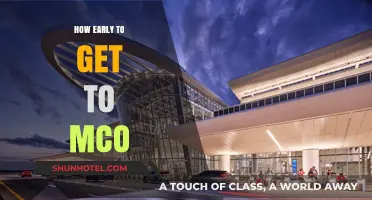 Arriving at MCO: Timing Your Travel for a Stress-Free Experience