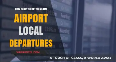 Miami Airport Local Departures: Optimal Arrival Time Tips for Travelers
