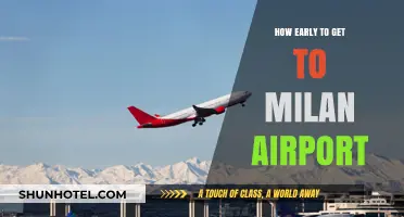 Arriving Stress-Free: Optimal Timing for Milan Airport Travel