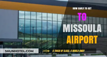 Arriving Stress-Free: Optimal Timing for Missoula Airport Travel