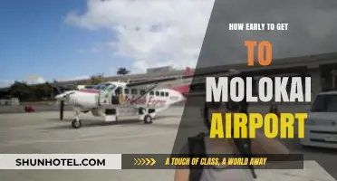 Arriving Stress-Free: Optimal Timing for Molokai Airport Departures