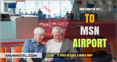 Best Time to Arrive at MSN Airport for Stress-Free Travel
