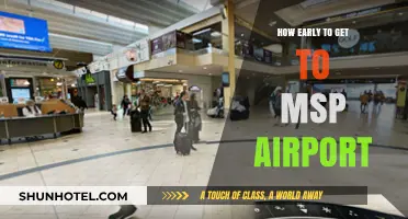 Arriving Stress-Free: Optimal Timing for MSP Airport Travel