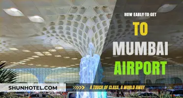 Mumbai Airport Arrival Guide: Optimal Timing for Stress-Free Travel