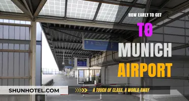 Arriving Stress-Free: Optimal Timing for Munich Airport Departures