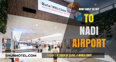 Arriving Stress-Free: Ideal Time to Reach Nadi Airport Early