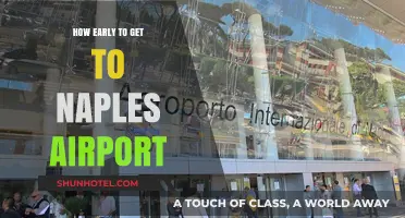 Arriving Stress-Free: Optimal Timing for Naples Airport Travel