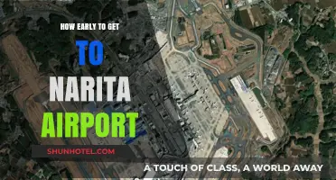 Narita Airport Arrival Guide: Timing Your Early Departure Perfectly