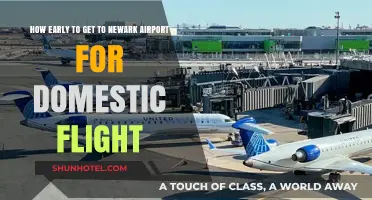 Navigating Newark Airport: Optimal Arrival Time for Domestic Flights