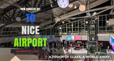 Arriving Stress-Free: Optimal Timing for Nice Airport Departure