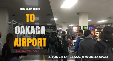 Arriving Stress-Free: Optimal Timing for Oaxaca Airport Departures