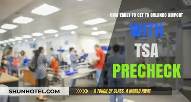 TSA PreCheck at Orlando Airport: Optimal Arrival Time Tips